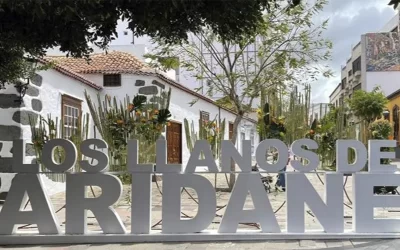 The Llanos de Aridane promote training in sexist cyber violence.